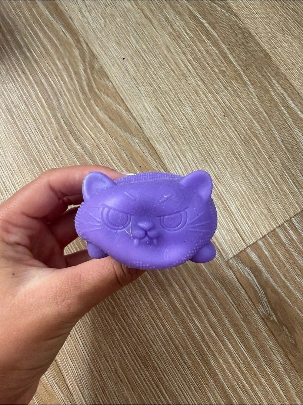 TWO PACK NEE DOH’s cat and ice cube